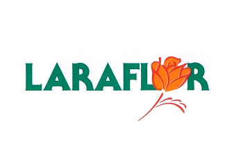 Laraflor Centro Augusta